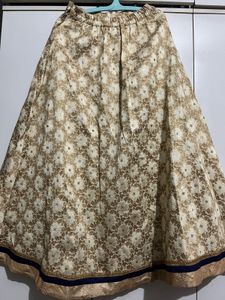 Elegant Brocade Ethnic Skirt