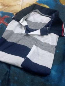 Striped Polo T-Shirt