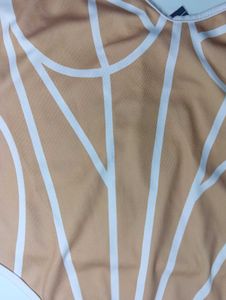 Sheer Corset Top