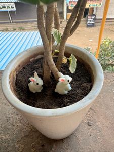 Set Of 6 Rabbit Miniature
