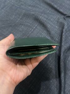 Stylish Green Wallet