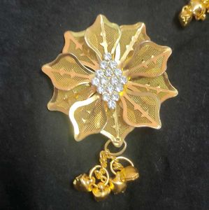 Hair Clips And Saree Brouch