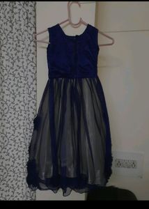 Net Barbie Gown