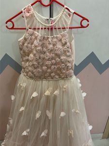Beautiful Pink Embellished Gown