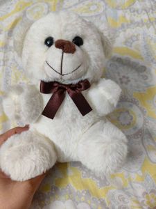 Cute White Teddy Bear