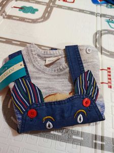 Baby Sweater With Free 🆓 Dungarees