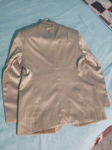 Men's Pinstripe Blazer(Beige Colour)
