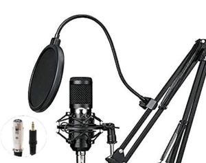 BM 800 Professional Condenser Microphone