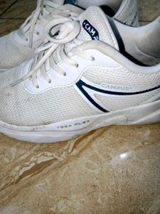 Campus White Shoes