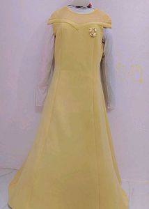 Elegant light Yellow  Gown