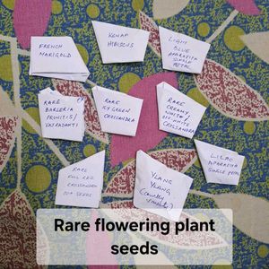 Flowering Plant Seeds (22 varieties)