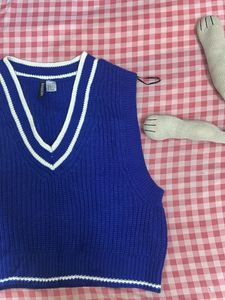 H&amp;M Pinterest Sleeveless Sweater Vest