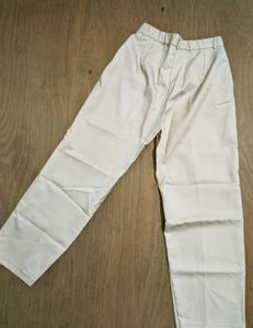 Beige Straight Leg Pants