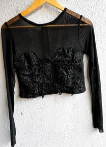 Sheer Lace Long Sleeve Crop Top