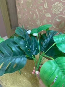 2 Pcs Artificial Monstera Plant
