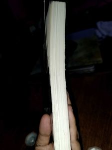 Never Lie by Freida McFadden