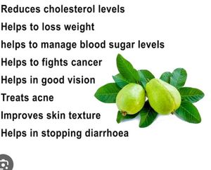 Guava Leaf