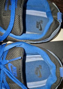 Nike SB Alleyoop ORIGINAL