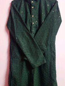 Elegant Green Kurta with Sequins