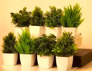 Pack Of 08 Artificial Plant Decor