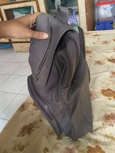 Stylish Grey Backpack | 4 zips