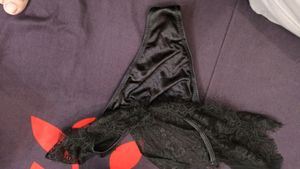 Intimates Brief 28 30 32 34 36 Can Wear