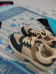 Stylish Asian Sneakers and Snitch Shirt
