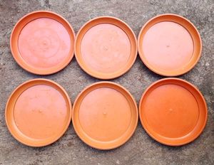 Plant Saucer Set (6 Pieces)