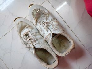 4 Shoes