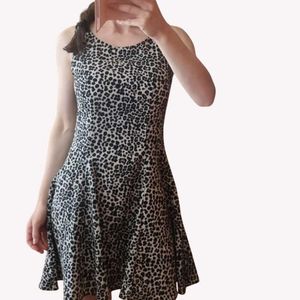 4629. Leopard Print Mini Dress
