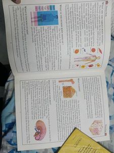 Children's Educational Books