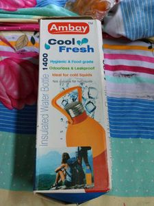Insulated Water Bottle