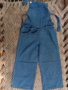 Vintage Denim Overalls