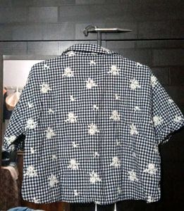 ZARA Chic Gingham Embroidered Button-Up Shirt