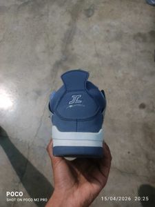 Jordan 4s like shoes