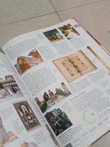 DK Illustrated Family Encyclopedia Vol 8