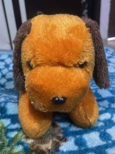 cute dog 🐶