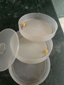 Sprout maker for dals, micro greens