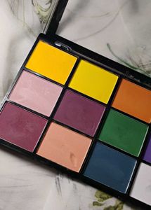 Vibrant 15 Color Eyeshadow Palette