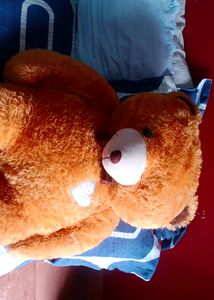 Large Plush Teddy Bear