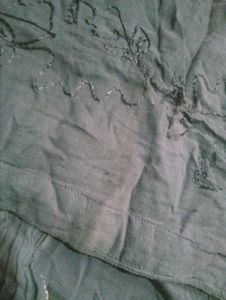 Embroidered Button-Front Skirt