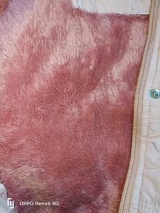 Premium Girl's Puffer Jacket with Genuine Fur