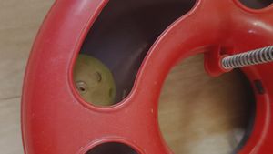 Cat Toy