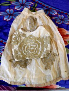 Beautiful Ethnic Lehenga Choli Set