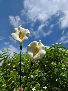 Handmade Crochet Calla Lily