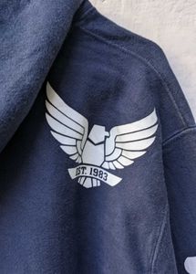 champion Seahawk Nation Graphic Hoodie