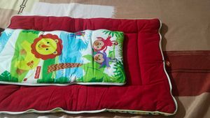 fisher price baby's carry nest