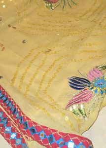 Embroidered Saree with Mirror Work Border