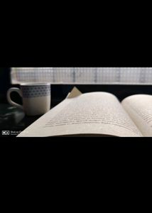 Elon Musk Biography Book