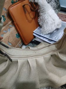 Beige hand beg